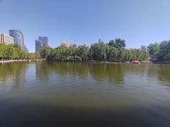 -团结湖公园