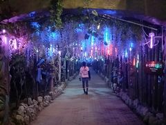 -呀路古热带植物园
