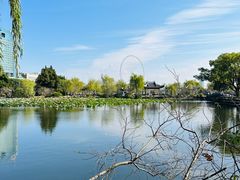 -无锡蠡湖国家湿地公园-蠡园