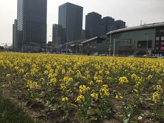 -喜来登酒店-盛宴标帜餐厅