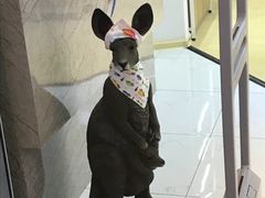 -滇香肴·云南菜蒸汽石锅鱼(云南北路店)