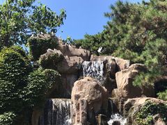 -燕塞湖鸟语林景区