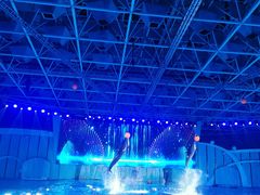 -海合安青岛极地海洋公园