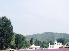 iphone_upload_pic-紫海香堤香草艺术庄园