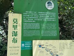 -莫里热带雨林景区