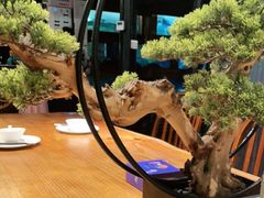 -尽膳·鱼鲜川菜(宽窄巷子店)