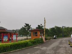 -东郊湿地公园
