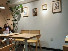 -猫里有甜