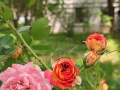 -中南财经政法大学(首义校区)