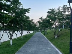 -羊山湖公园