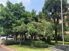 -中旅阿那亚九龙湖·公主酒店