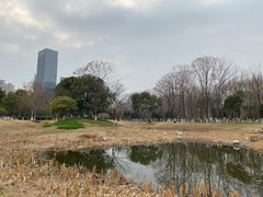 -后襄河公园
