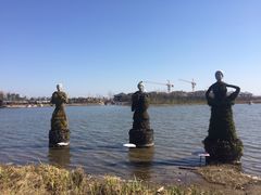 -杭州湾海上花田景区