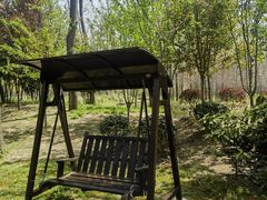 -合肥滨湖国家森林公园