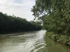 -大湾区中央湿地公园