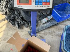 -小鱼草莓采摘园农家乐·小鱼餐厅