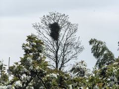 -树山生态村