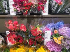 -鹿岛生活(熙地港店)