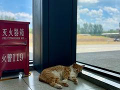 -汉长安城未央宫国家考古遗址公园