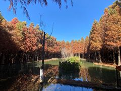 -捞渔河湿地公园
