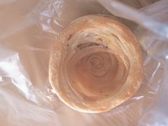 原味油旋-油旋张(大观园店)