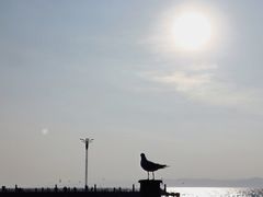 -呈贡滇池生态湿地公园