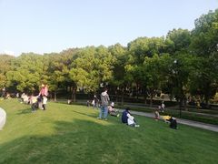 -昆山城市公园