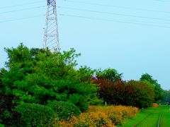 -永定河休闲森林公园