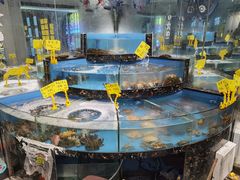 -丁字口海鲜热炒·烧烤大排档