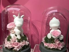 -ROSEONLY诺誓(国际广场购物中心店)