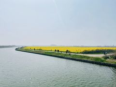 -南汇嘴观海公园
