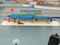 -秦皇岛乐岛海洋王国