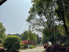 -铁山坪森林公园