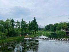 -洋湖国家湿地公园