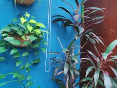 -Golden Lily河内巴黎法越料理餐厅(建国西路店)