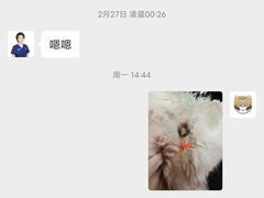 -伟伟宠物医院·CT影像中心·瑞派犬猫综合性门诊(汉口总院)
