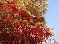 -济南方特东方神画