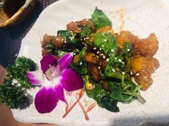 -酒久自助料理(佳兆业店)
