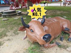 -牛鱼嘴原始生态风景区