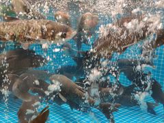 -梁家大院•农家菜(昆山会展中心店)