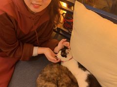 -Sirena海妖日咖夜酒