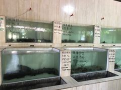 -海盗餐厅