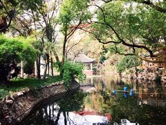 -叶家花园