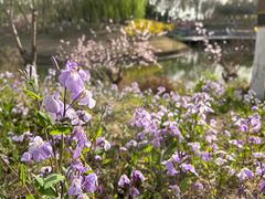 -大兴滨河森林公园