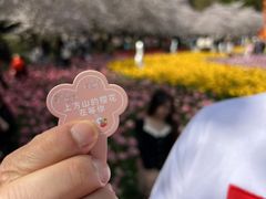 -苏州上方山国家森林公园
