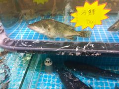 -侬佳蒸菜馆(听潮店)