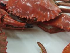 -京秀缘蒸汽海鲜农家菜大馅蒸饺