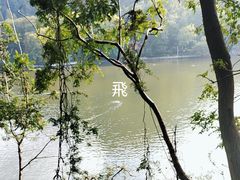 -黔灵山公园