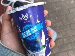 蓝莓风味发酵乳-扬大康源乳业鲜奶吧(大学北路店)