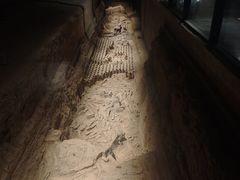 -汉景帝阳陵博物院